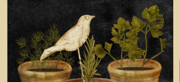 Olde Red Saltbox Herb Show
