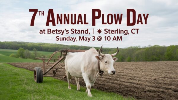 7th Annual Plow Day