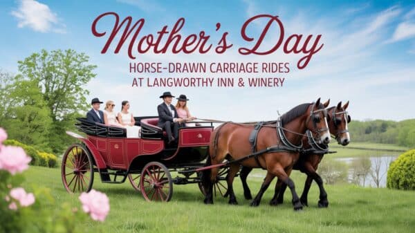 Mothers Day Horse Drawm Carriage Rides at Langworthy Inn and WInery