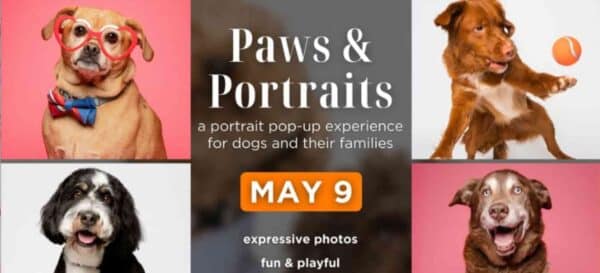 Paws and Portraits - a Portrait Pop-Up Experience