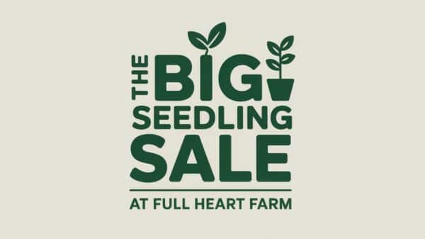 The Big Seedling Sale at Full Heart Farm