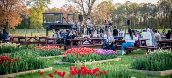 The Wicked Picnic at Wicked Tulips
