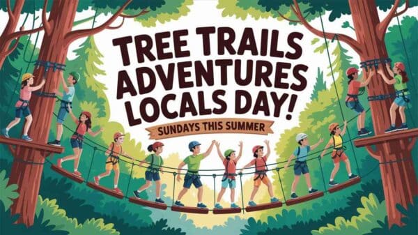Tree Trails Adventures Local Day Sundays This Summer
