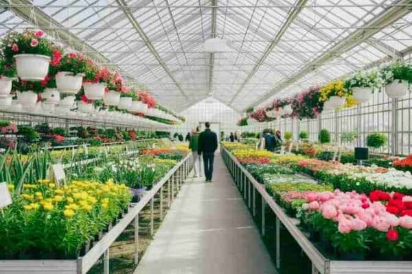 FRIDAY MAY 1ST @ 9 AM Scott’s Yankee Farmer Grand Opening