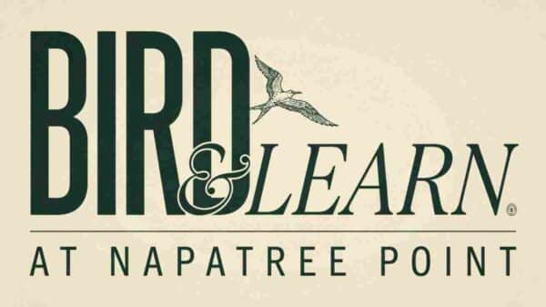 Bird and Learn at Napatree Point