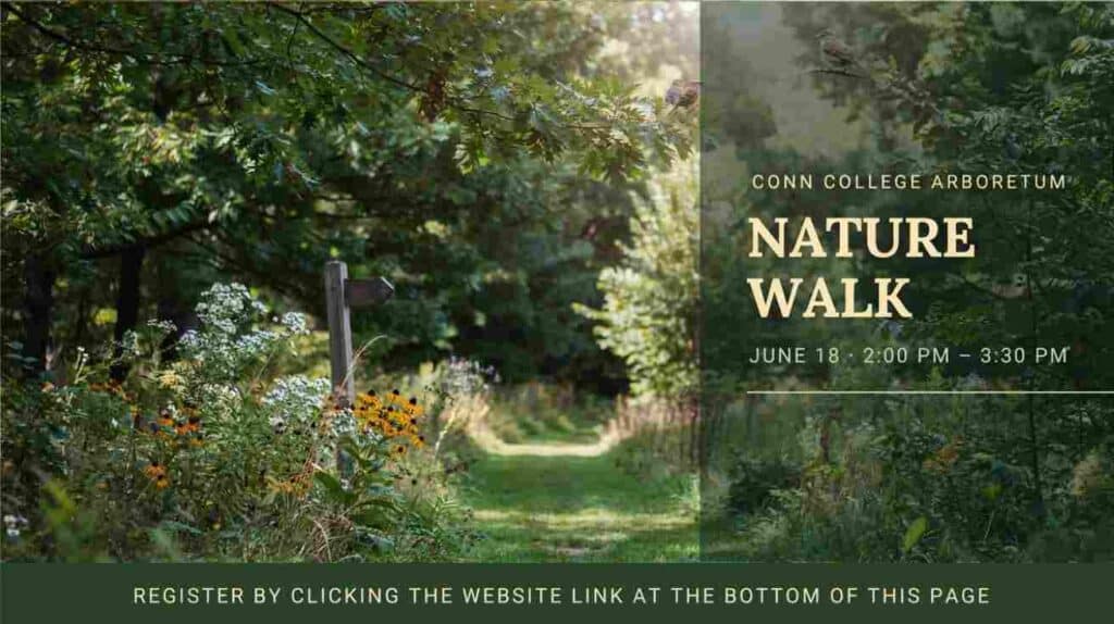 Conn College Arboretum Nature Walk June 18 2pm - 330pm Register by clicking website link at the bottom of this page