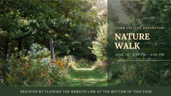 Conn College Arboretum Nature Walk June 18 2pm - 330pm Register by clicking website link at the bottom of this page