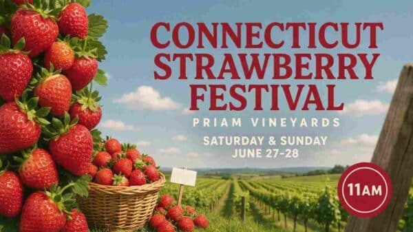 Connecticut Strawberry Festival at Priam Vineyards Saturday and Sunday June 27 and June 28 11am