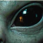 Disclosure Weekend