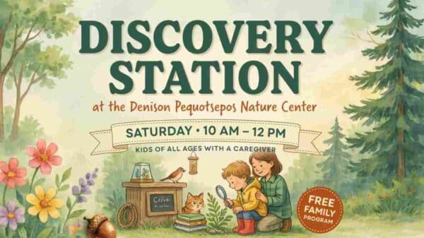 Discovery Station at the Denison Pequotsepos Nature Center 10am - 12 pm
