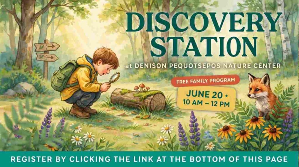 Discovery Station at the Denison Pequotsepos Nature Center 10am - 12 pm June 20