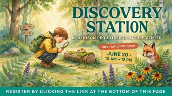 Discovery Station at the Denison Pequotsepos Nature Center 10am - 12 pm June 20