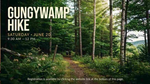 Gungywamp Hike Saturday June 20 930 am to 12 pm Registration is available by clicking website link at the bottom of this page