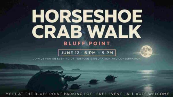 Horseshoe Crab Walk at Bluff Point June 12 6pm to 9pm