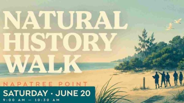 Natural History Walk at Napatree Point Saturday June 20 9am - 1030am