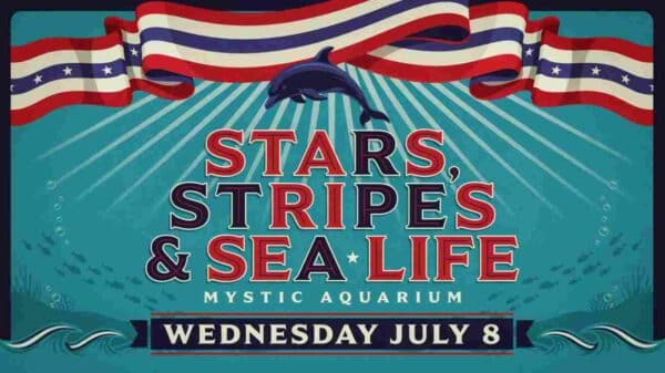 Stars Stripes and Sea Life at Mystic Aquarium Wednesday July 8