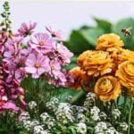 The Art of Being in Bloom