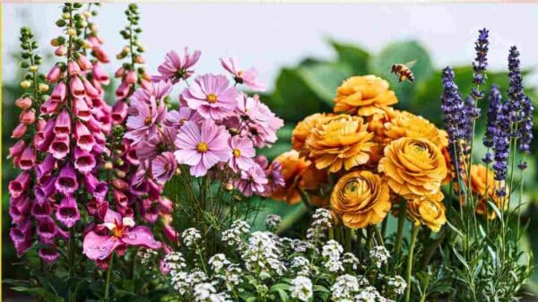 The Art of Being in Bloom