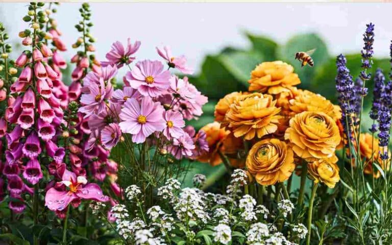 The Art of Being in Bloom