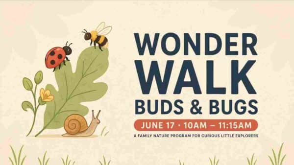 Wonder Walk Buds and Bugs June 17 10am - 1115am