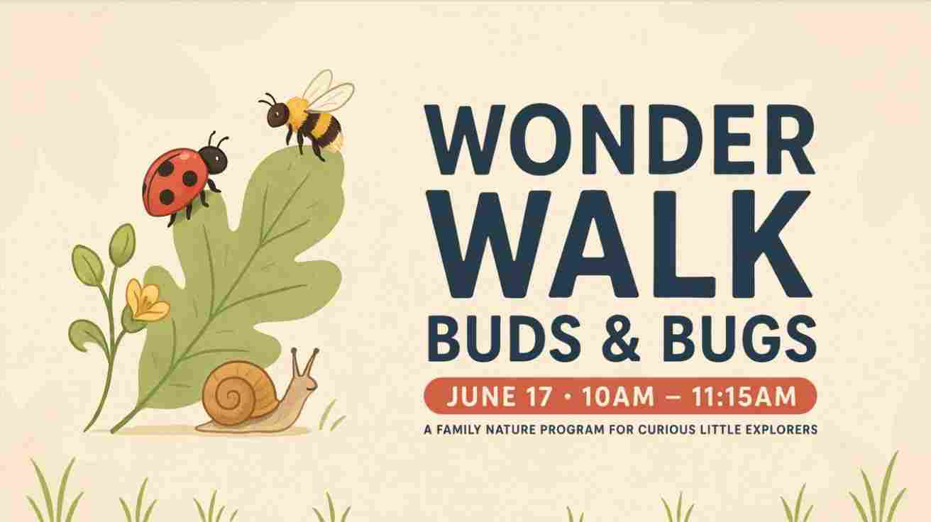 Wonder Walk Buds and Bugs June 17 10am - 1115am