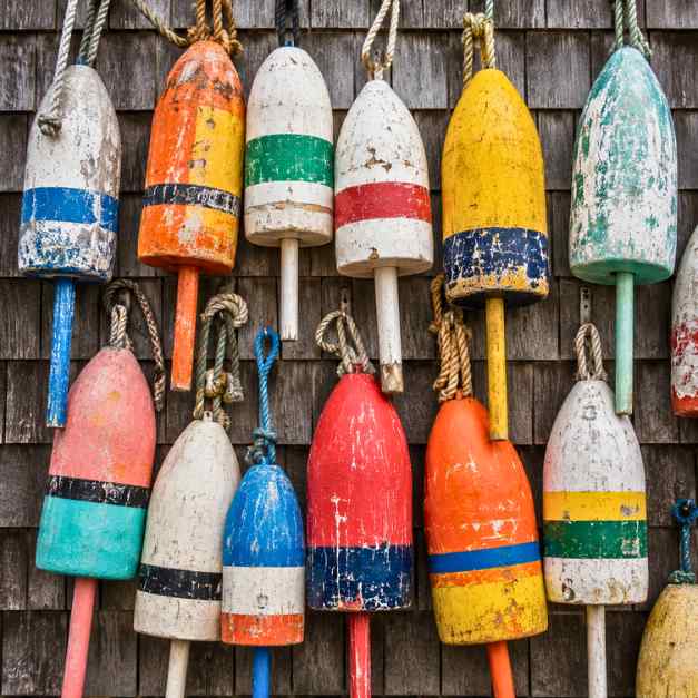 Why Are Lobster Buoys All Different Colors