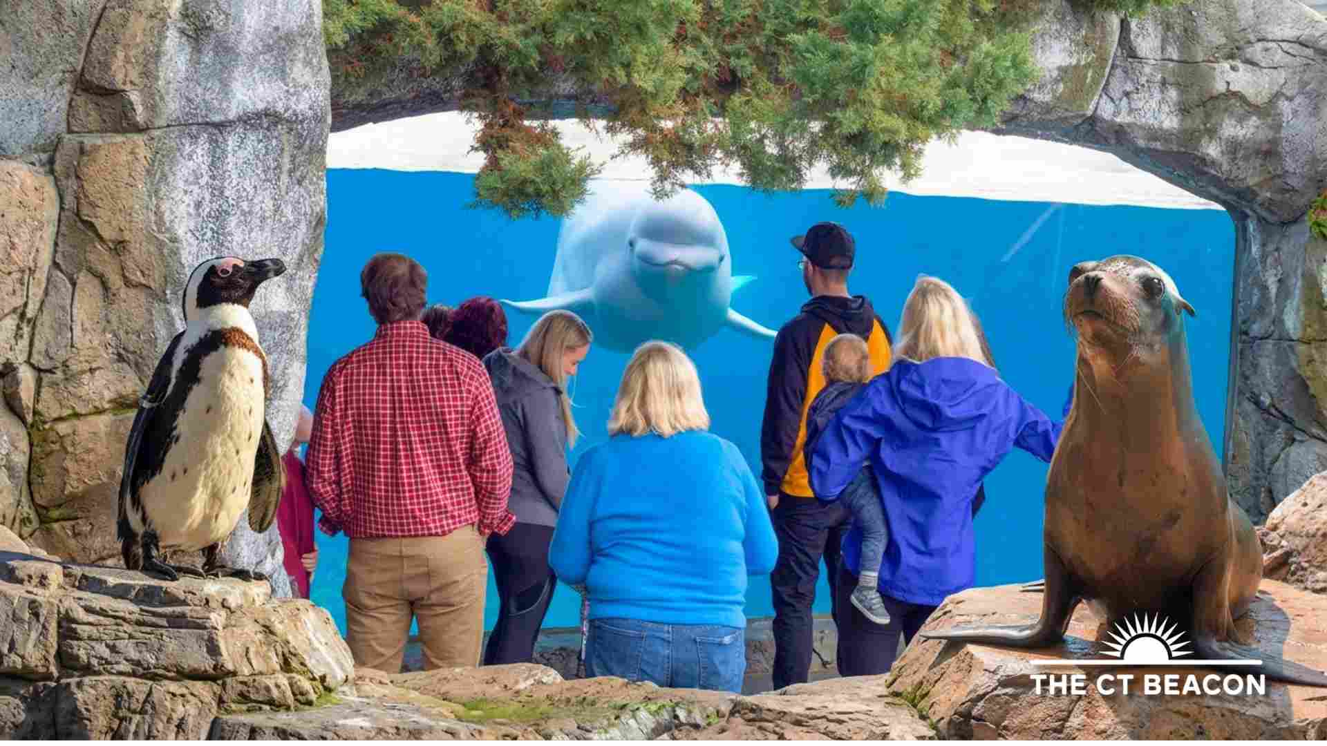Back to School Bash at Mystic Aquarium 2026