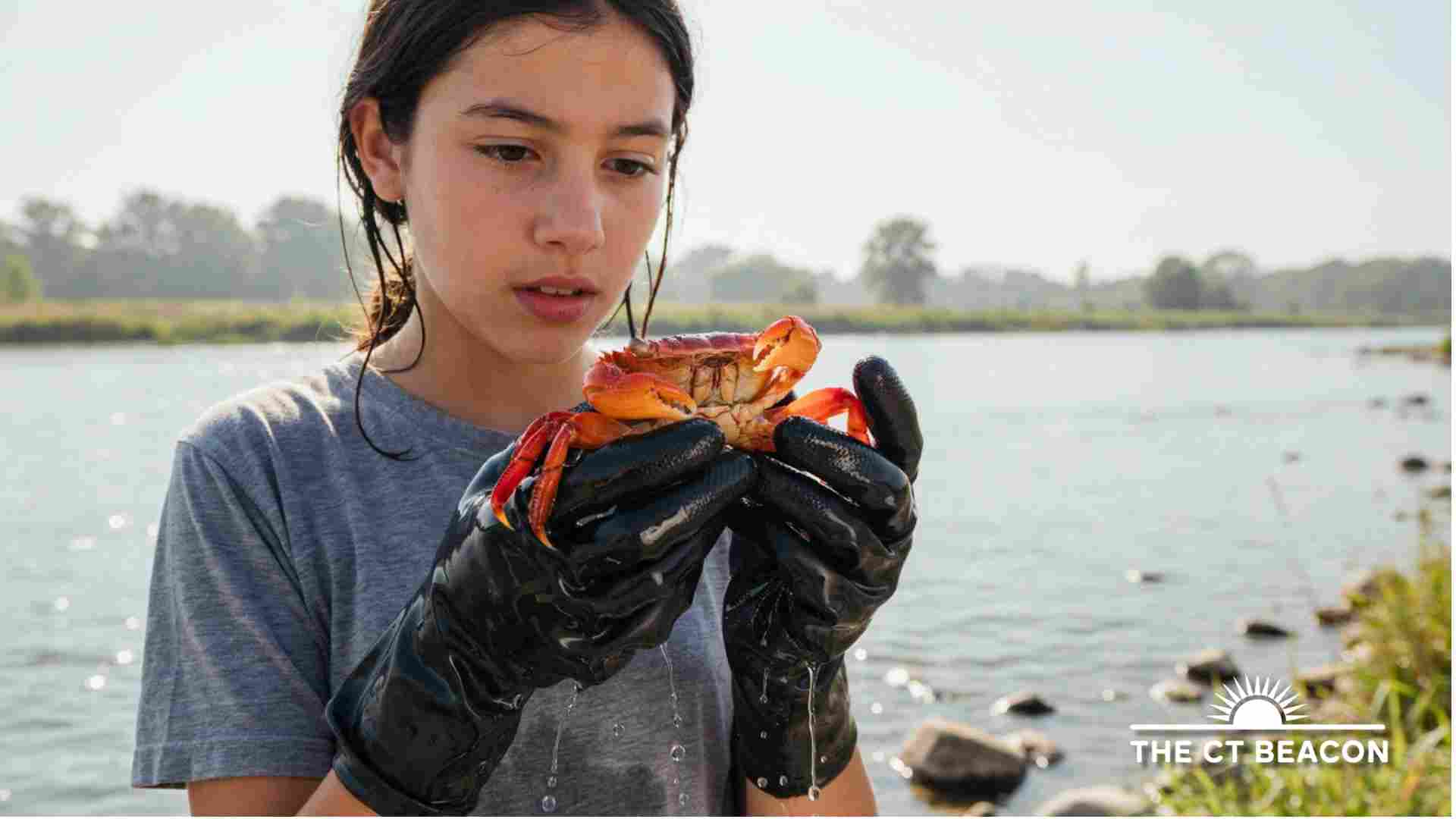 Family Crabbing with Denison Pequotsepos Nature Center