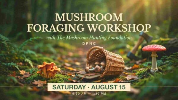 Mushroom Foraging Workshop with the Mushroom Hunring Foundation at the DPNC Saturday August 15 930 am - 130 pm