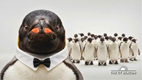 Deaf Awareness Day at Mystic Aquarium-b