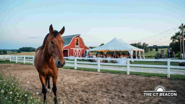 Mitchell Farm Music Festival Brings Three Days of 70s-Rooted Music to a Horse Retirement Sanctuary