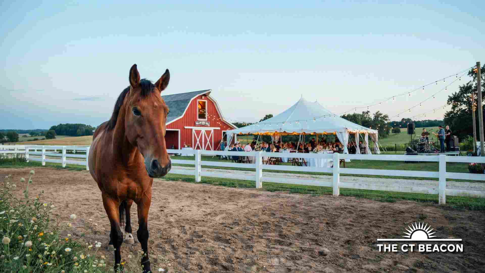 Mitchell Farm Music Festival Brings Three Days of 70s-Rooted Music to a Horse Retirement Sanctuary